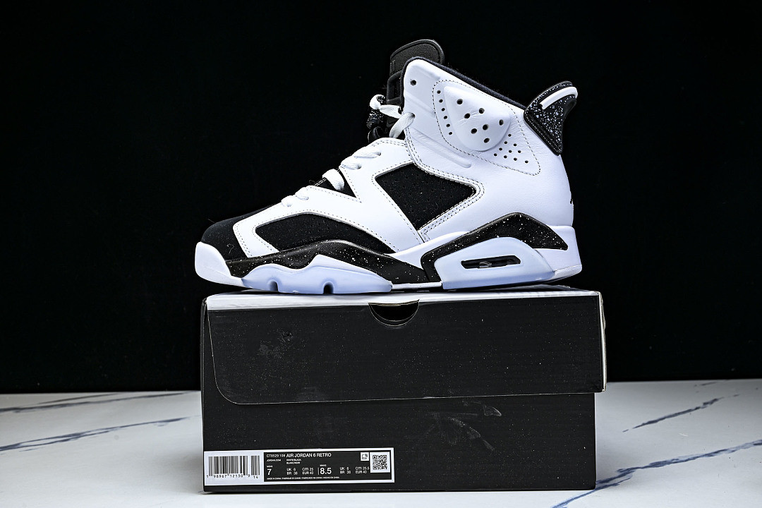 Air Jordan 6 