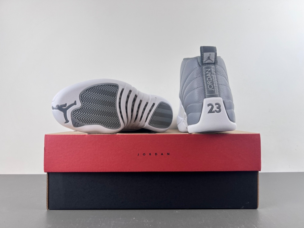 Air Jordan 12 STEALTH CT8013-015