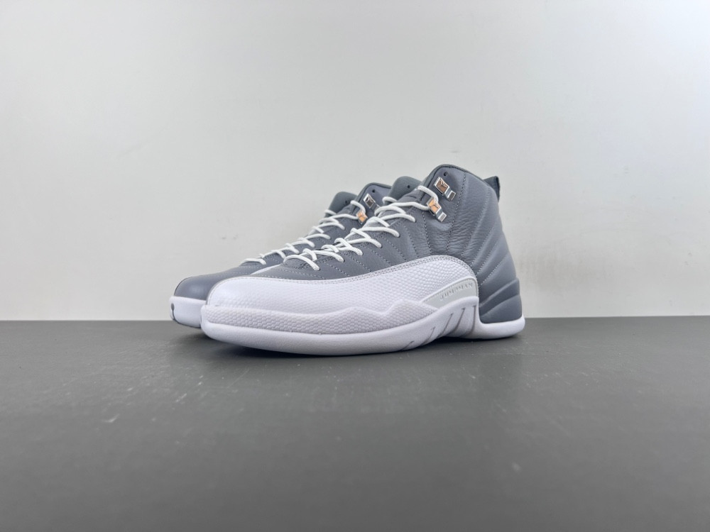 Air Jordan 12 STEALTH CT8013-015