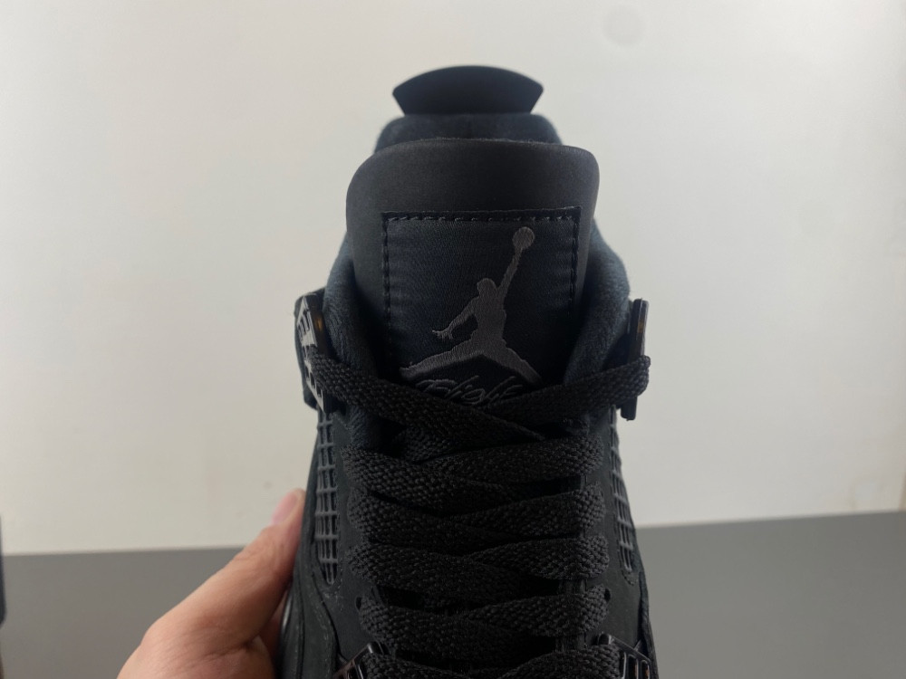 Air Jordan 4 “Black Cat” FV5029-010
