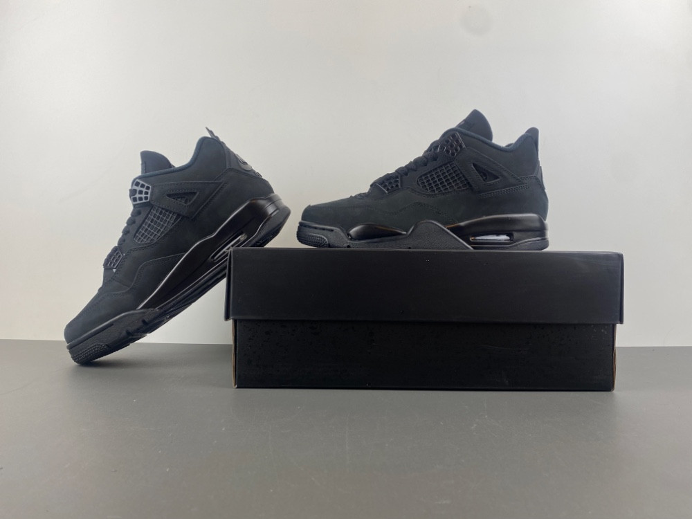 Air Jordan 4 “Black Cat” FV5029-010