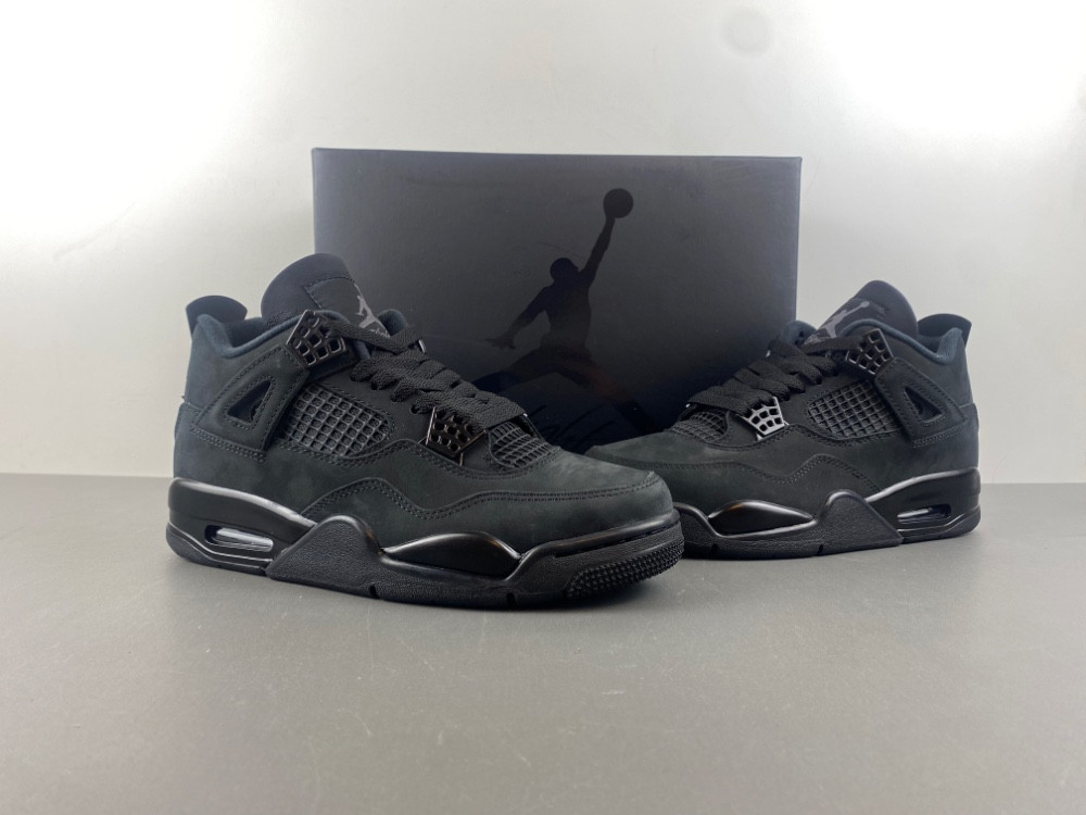 Air Jordan 4 “Black Cat” FV5029-010