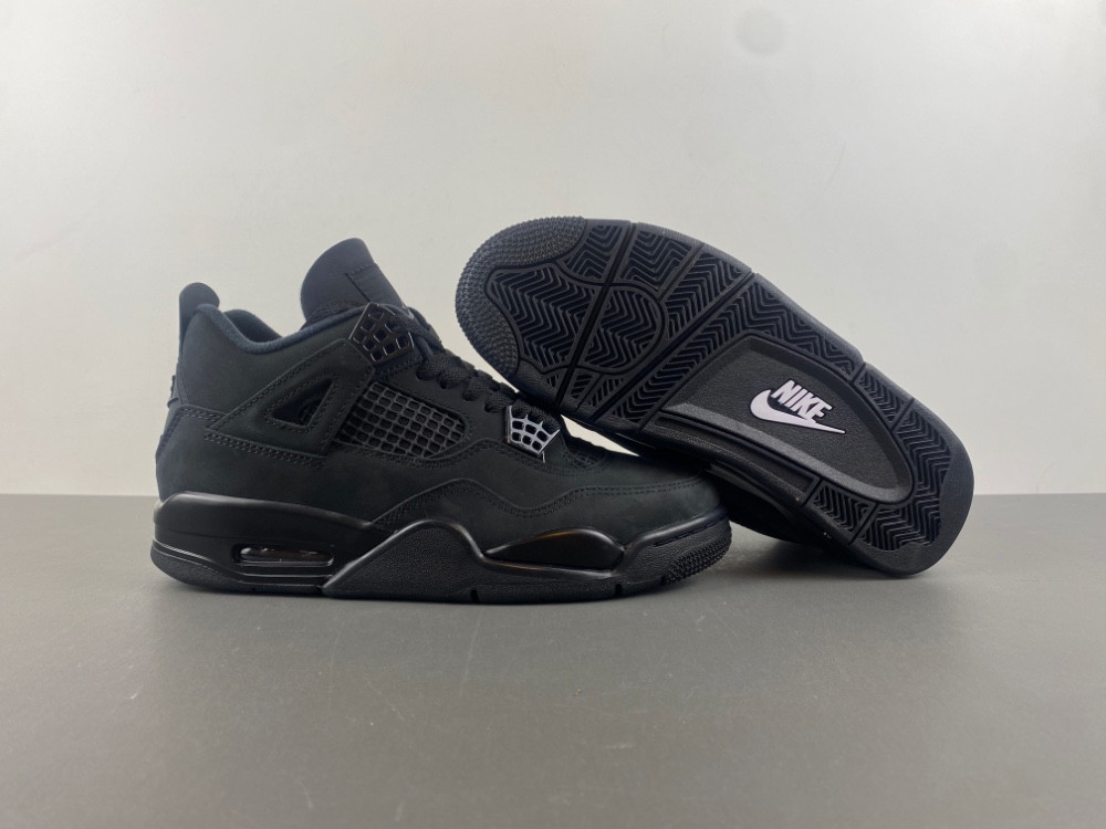 Air Jordan 4 “Black Cat” FV5029-010