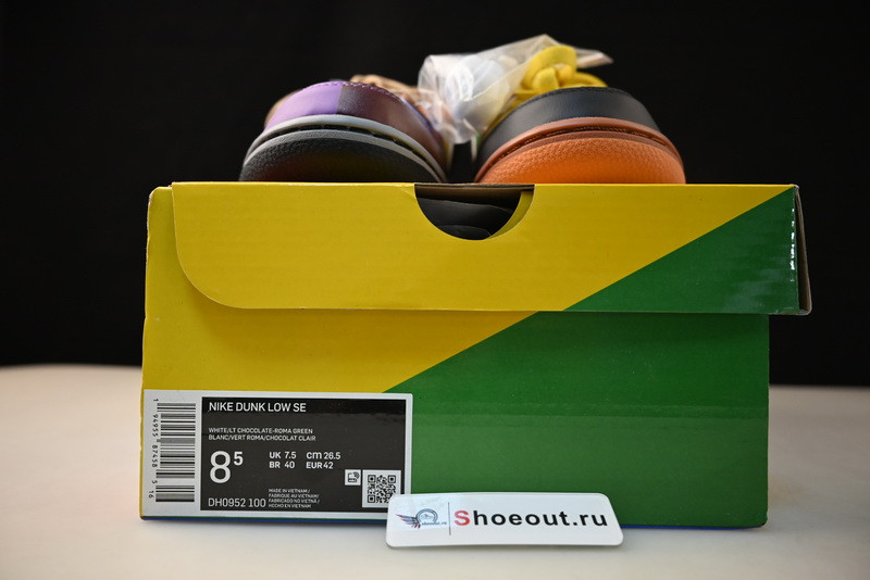 Nike Dunk Low DH0952-101