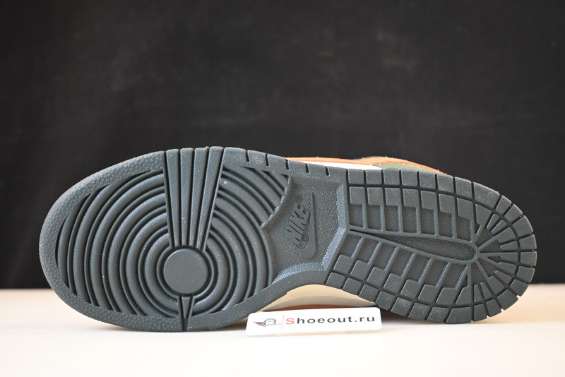 Nike Dunk Low Pro SB 