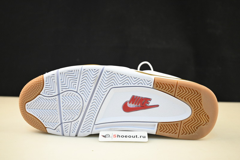 Air Jordan 4 DR5415-120