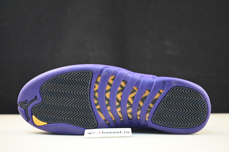 Jordan 12 Retro Field Purple CT8013-057