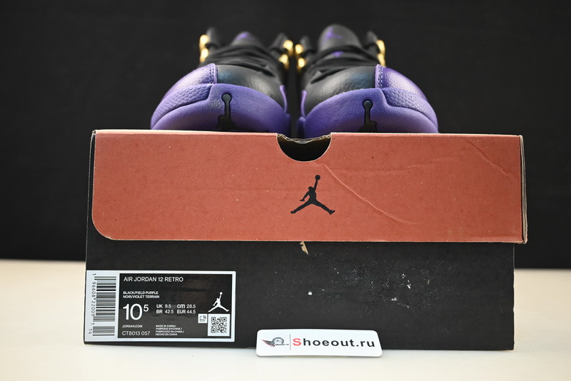 Jordan 12 Retro Field Purple CT8013-057