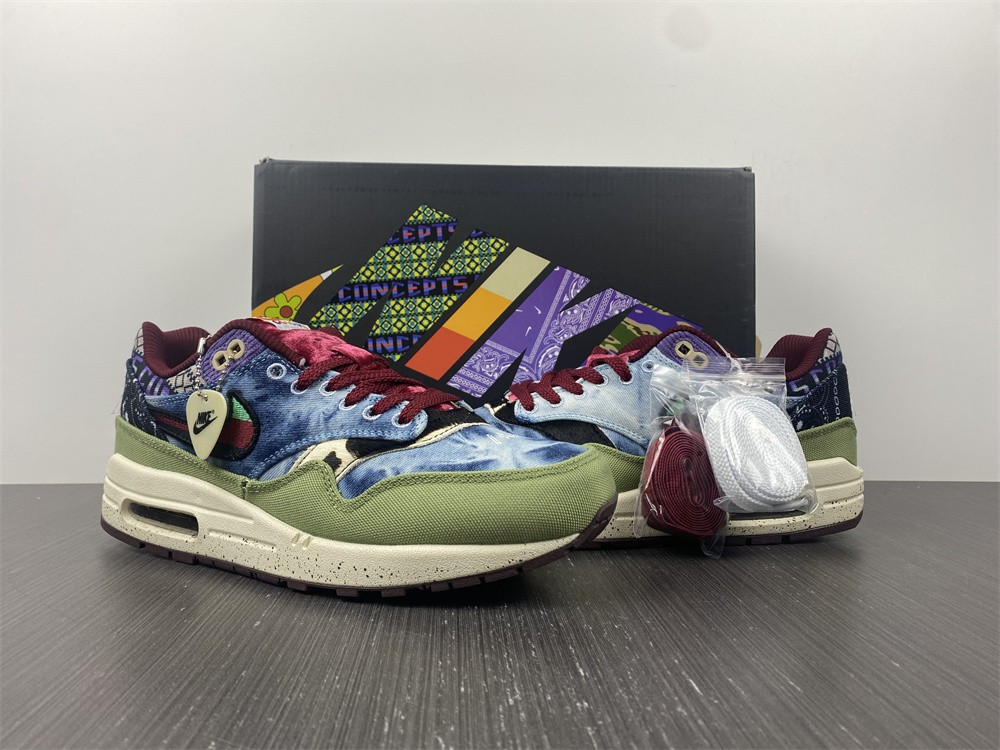 Nike Air Max 1 DN1803-300