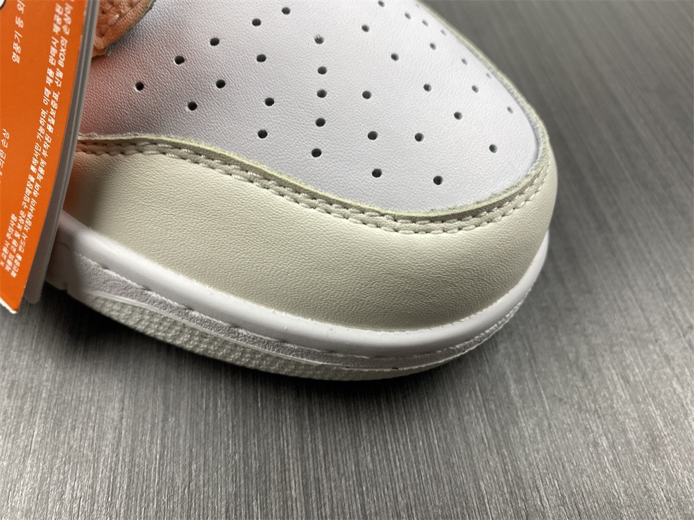 Nike Dunk Low Move To Zero DD1873-101