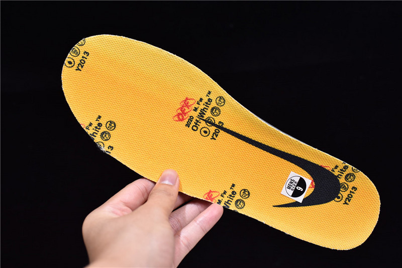 OF x Nike Dunk Low Michigan CT0856-700