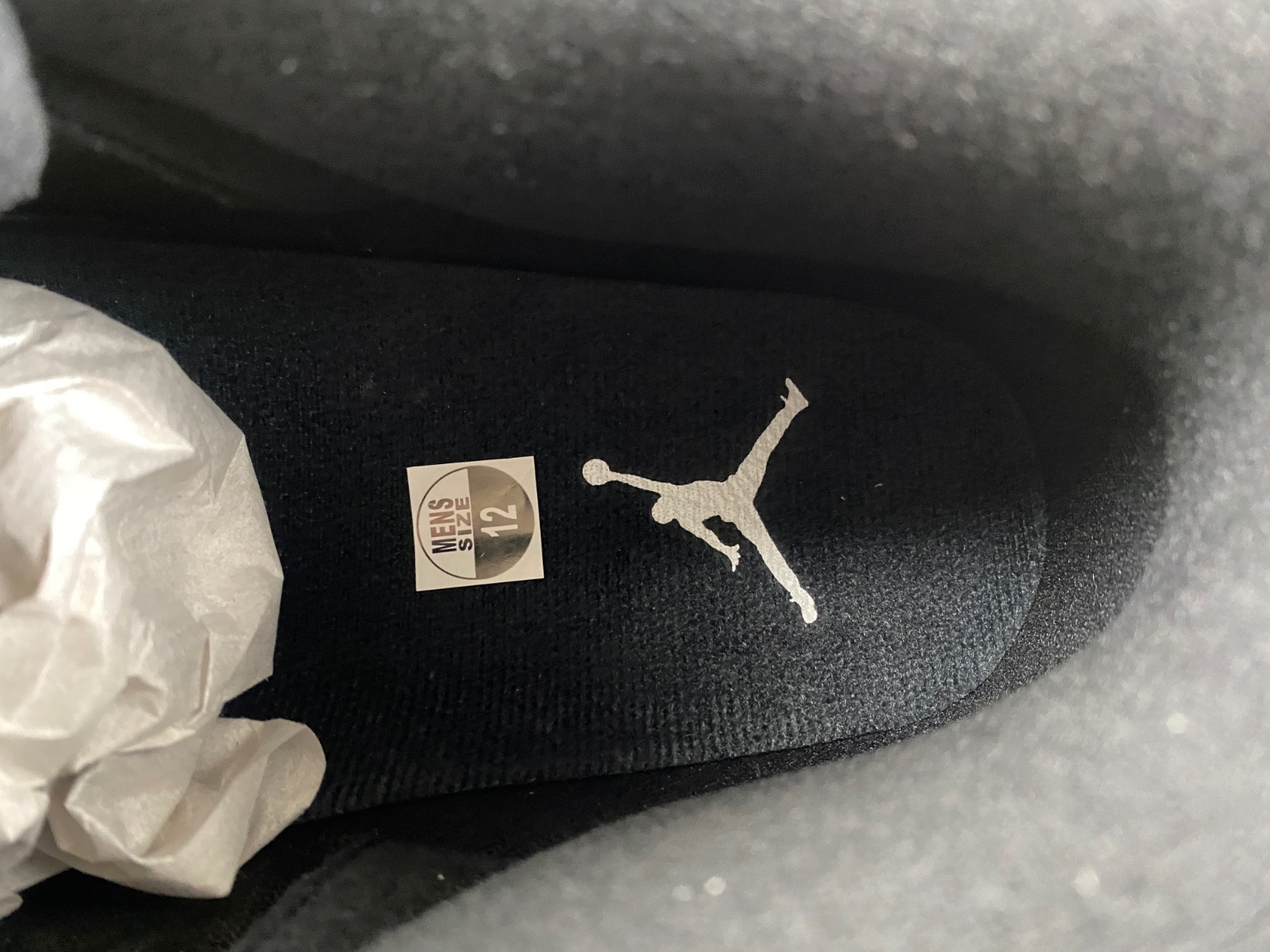 Air Jordan 3 Black Cat 9246-001