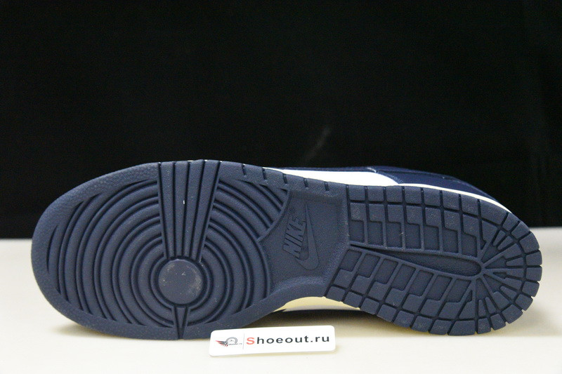 Nike SB Dunk Low DD1503-115