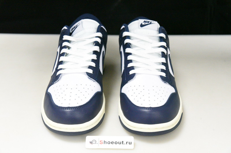 Nike SB Dunk Low DD1503-115