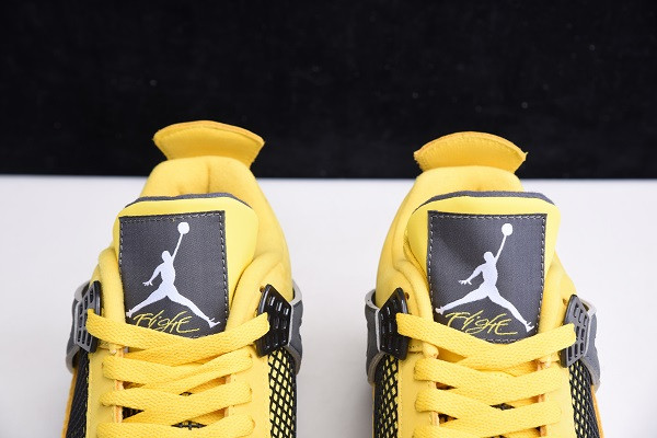 Air Jordan 4 Retro LS "Lightning" 314254-700