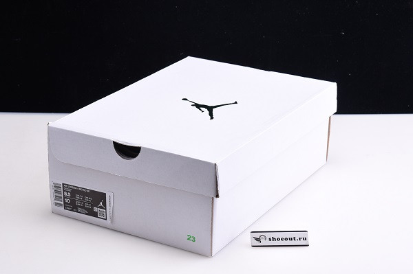 Air Jordan 4 “Pure Money” CT8527-113