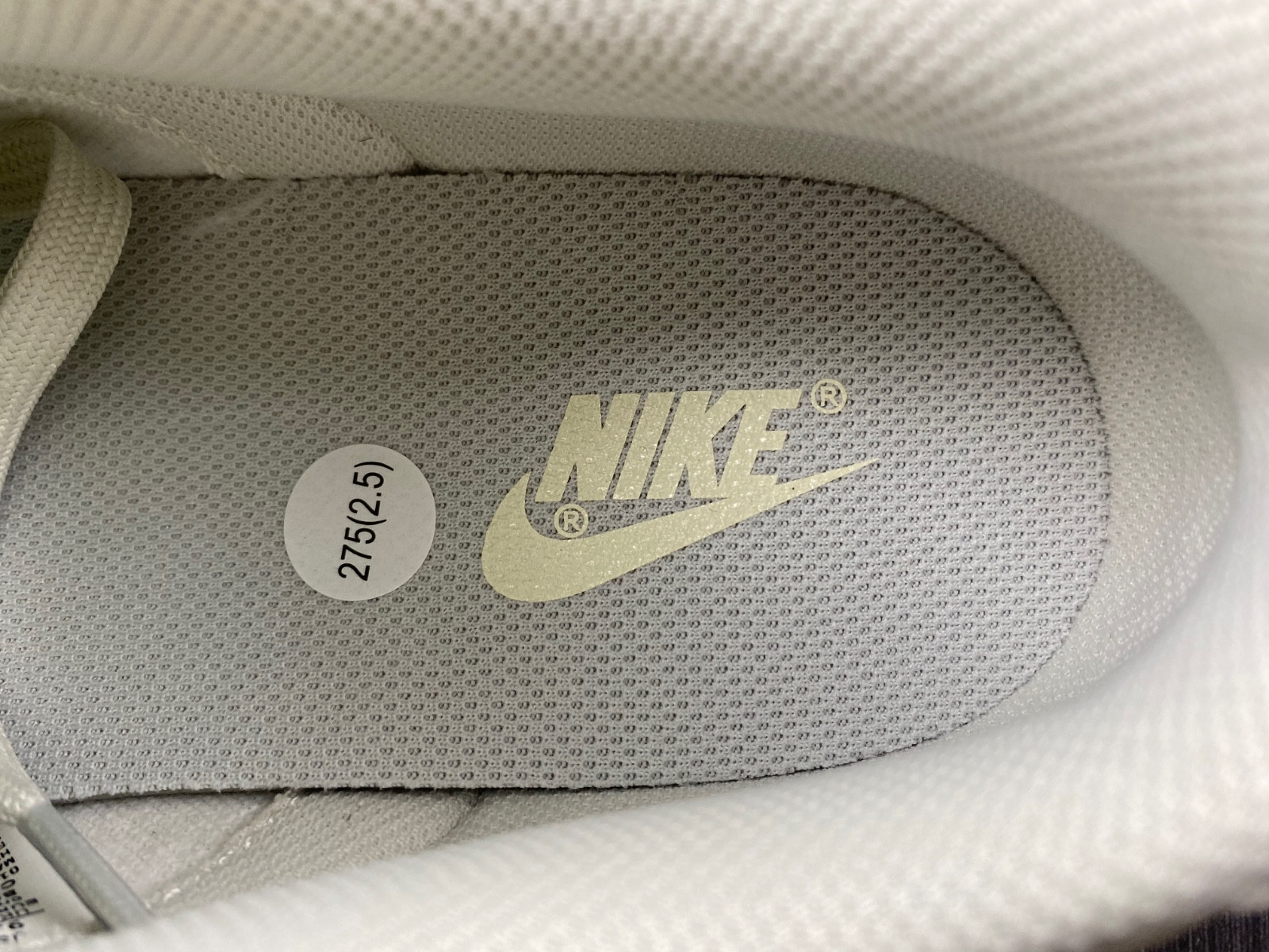 Nike Dunk Low DD1503-107