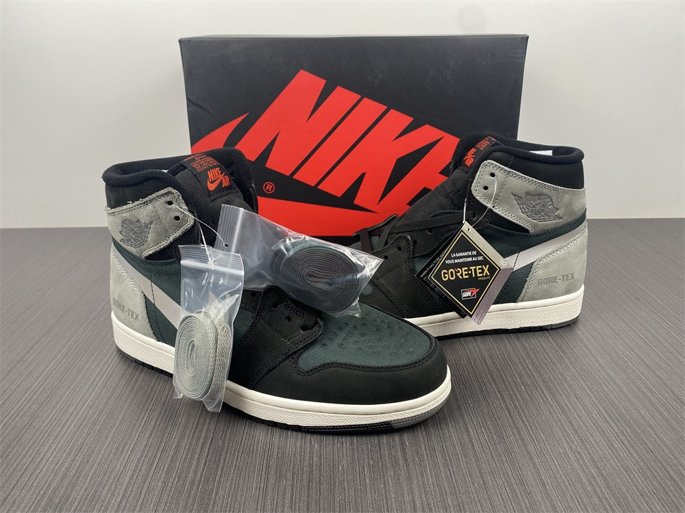 Air Jordan 1 Element Gore-Tex DB2889-001