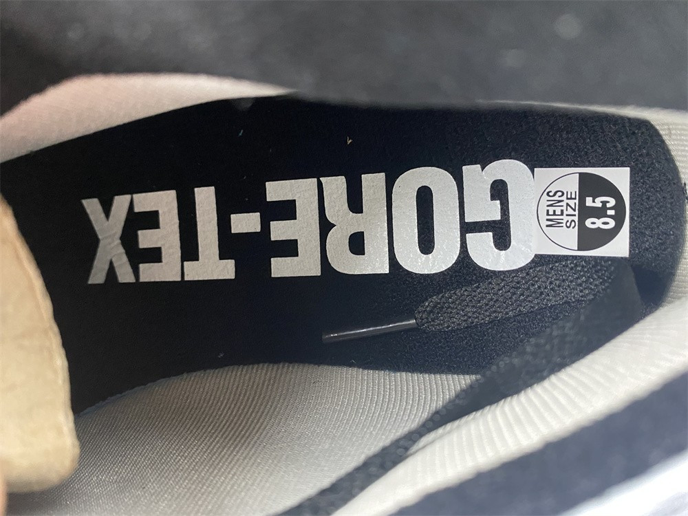 Air Jordan 1 Element Gore-Tex DB2889-001