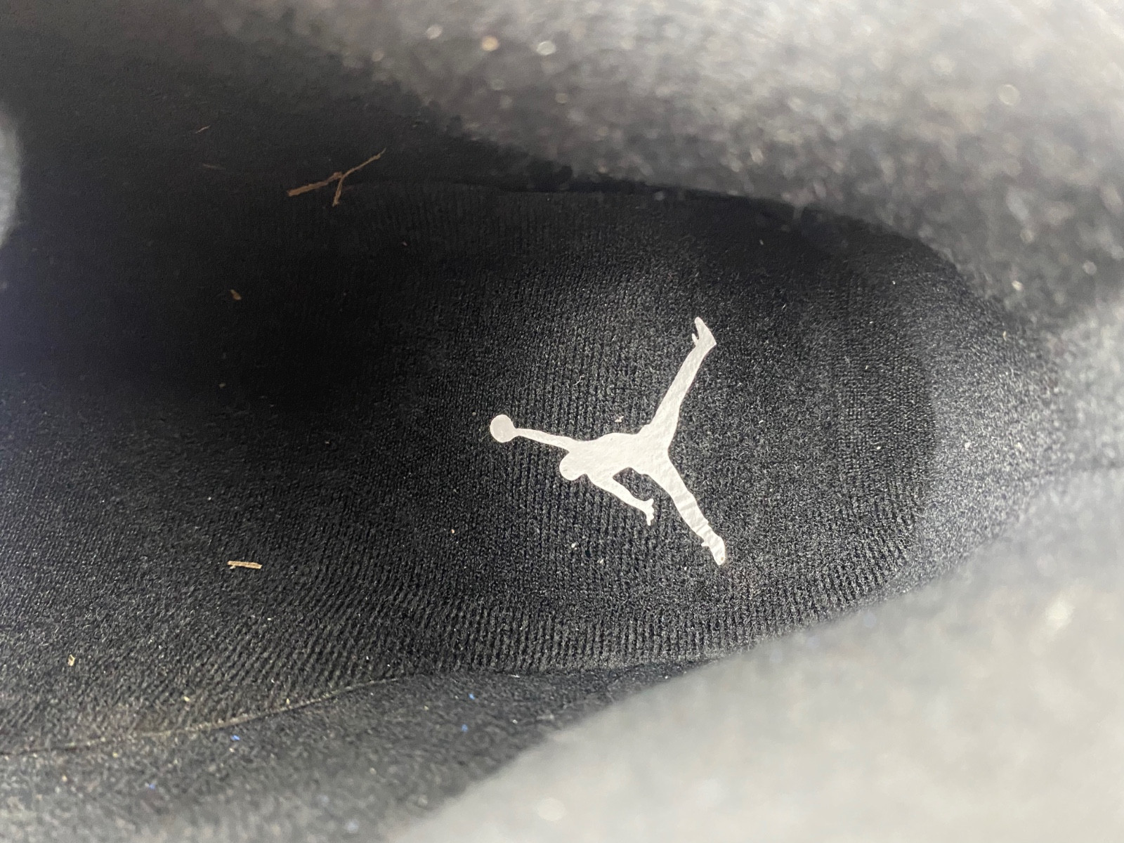 Air Jordan 14 “Laney” 487471-407