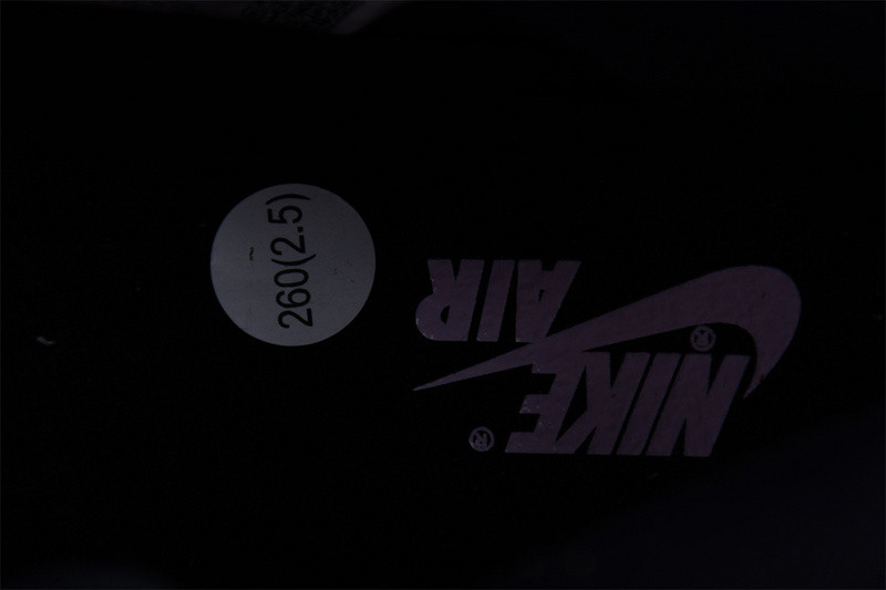 Jordan 1 Retro High OG Skyline DX0054-805