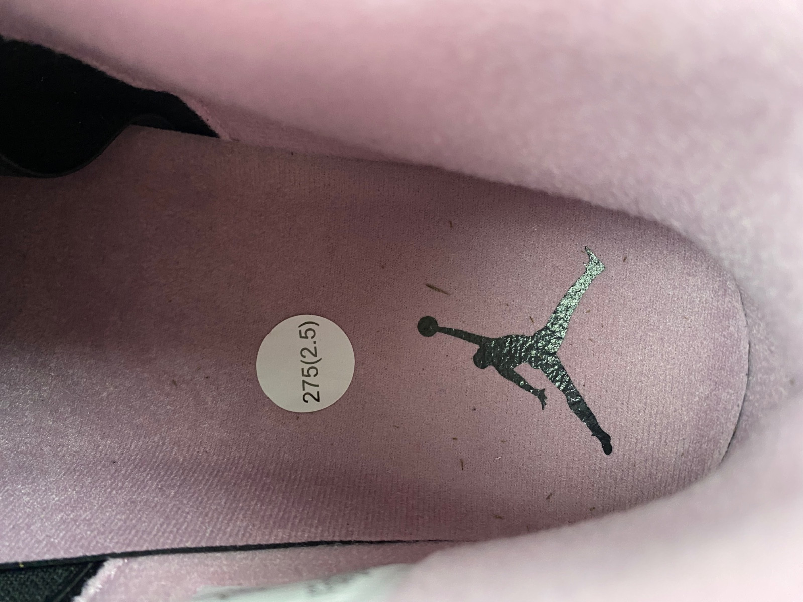 Air Jordan 4 WMNS “Orchid” AQ9129-501