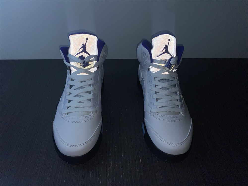 Air Jordan5 CONCORD DD0587-141
