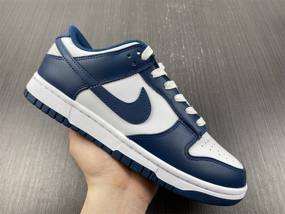 Nike dunk SB Low Retro Valerian Blue DD1391-400
