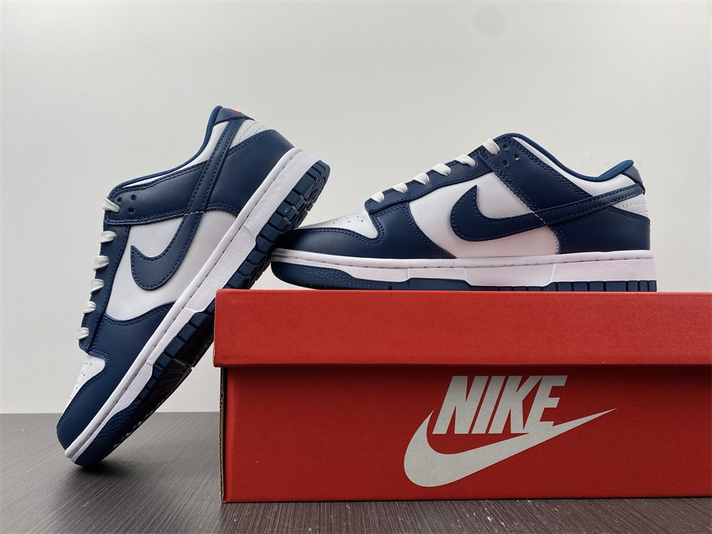 Nike dunk SB Low Retro Valerian Blue DD1391-400