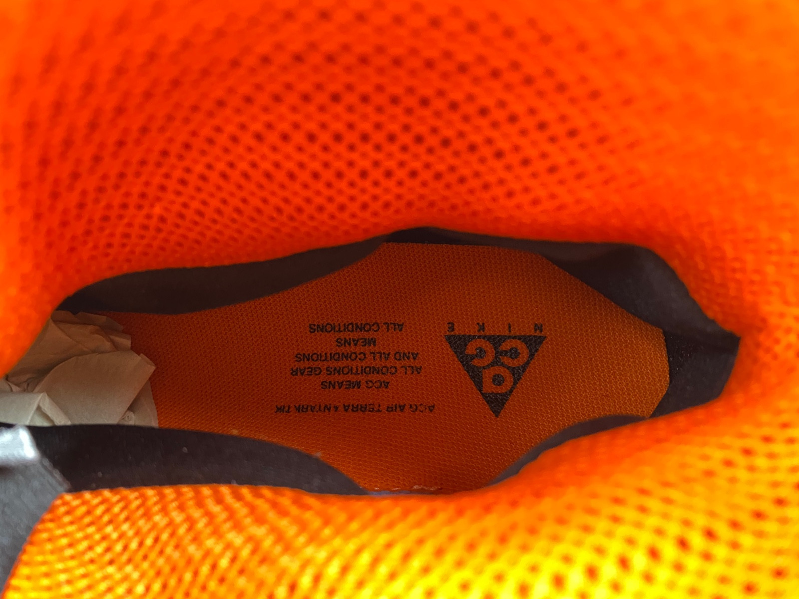 Nike ACG Terra Antarktik GORE-TEX Juniper Fog  BV6348-300