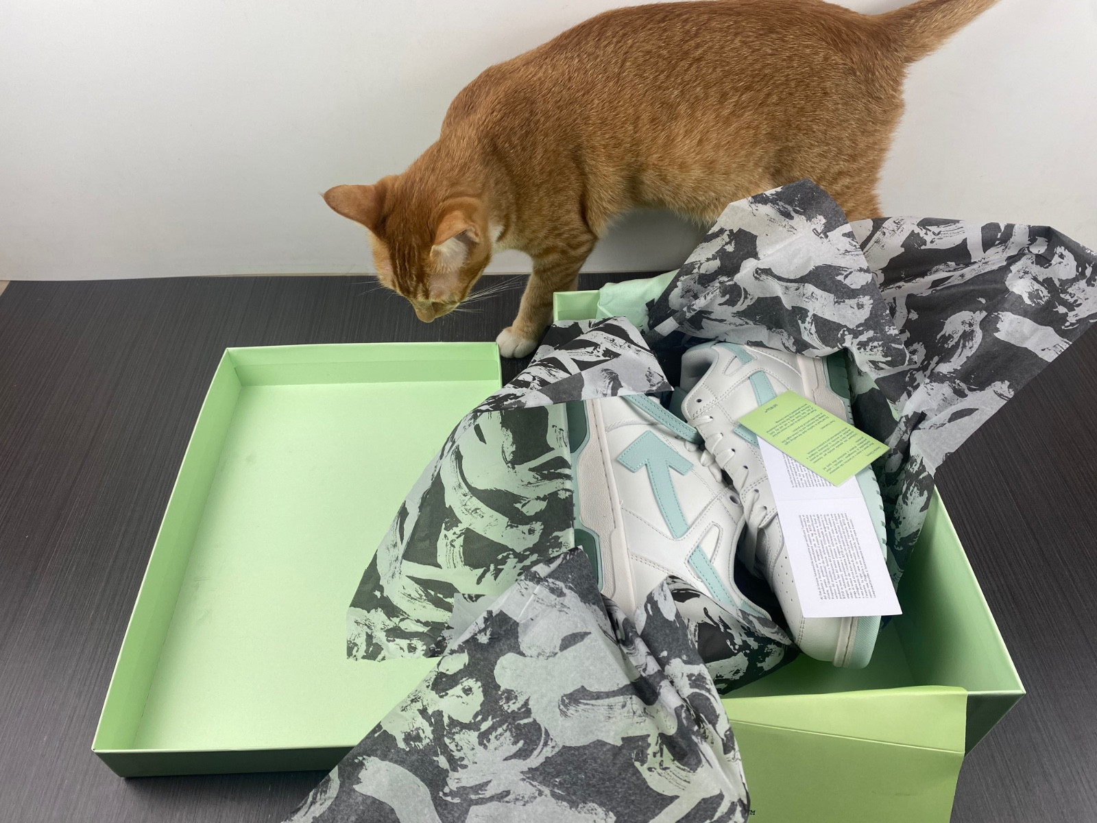 Off White GYM Sneaker