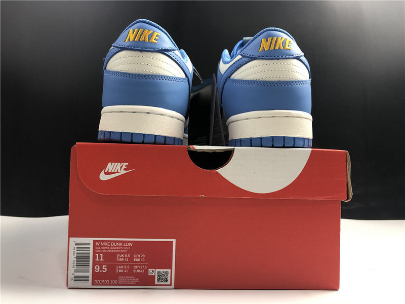 Nike Dunk Low Coast DD1503-100