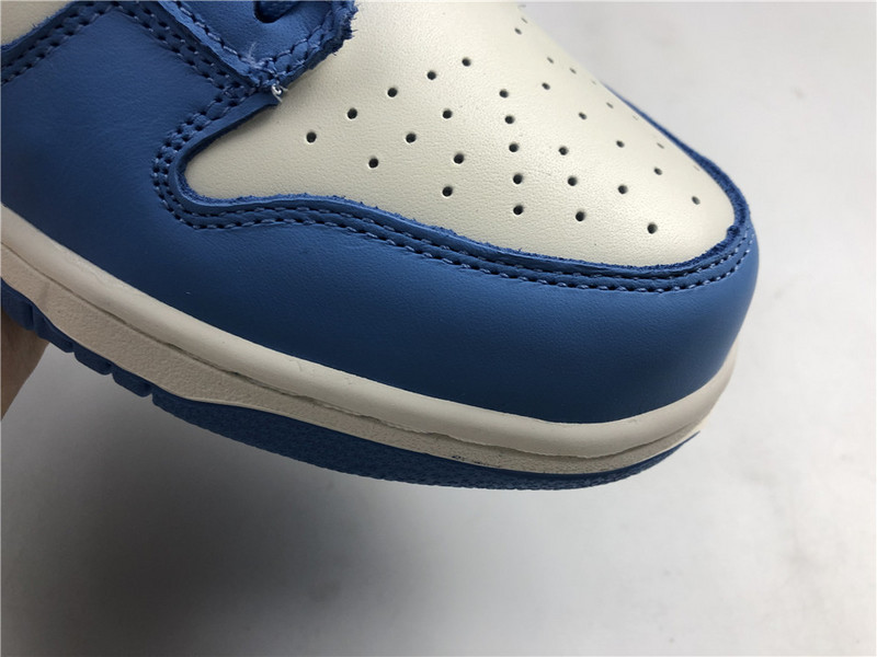 Nike Dunk Low Coast DD1503-100