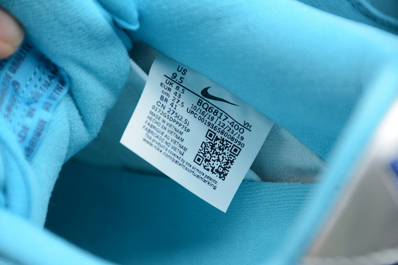 Nike SB Dunk Low Pro Blue Fury BQ6817-400