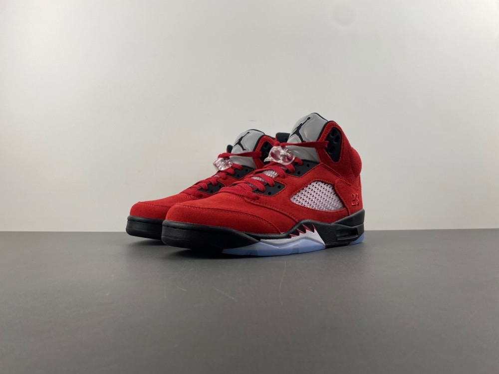 Air Jordan 5 CO0587-600